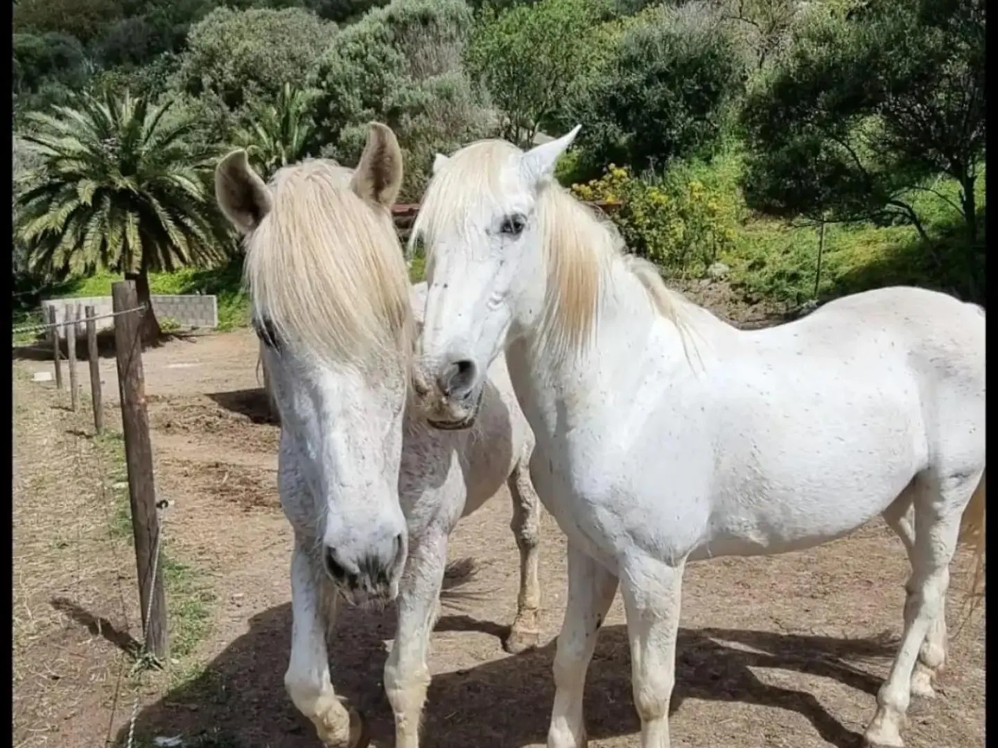 El Batan Resort Santa Brígida Espagne